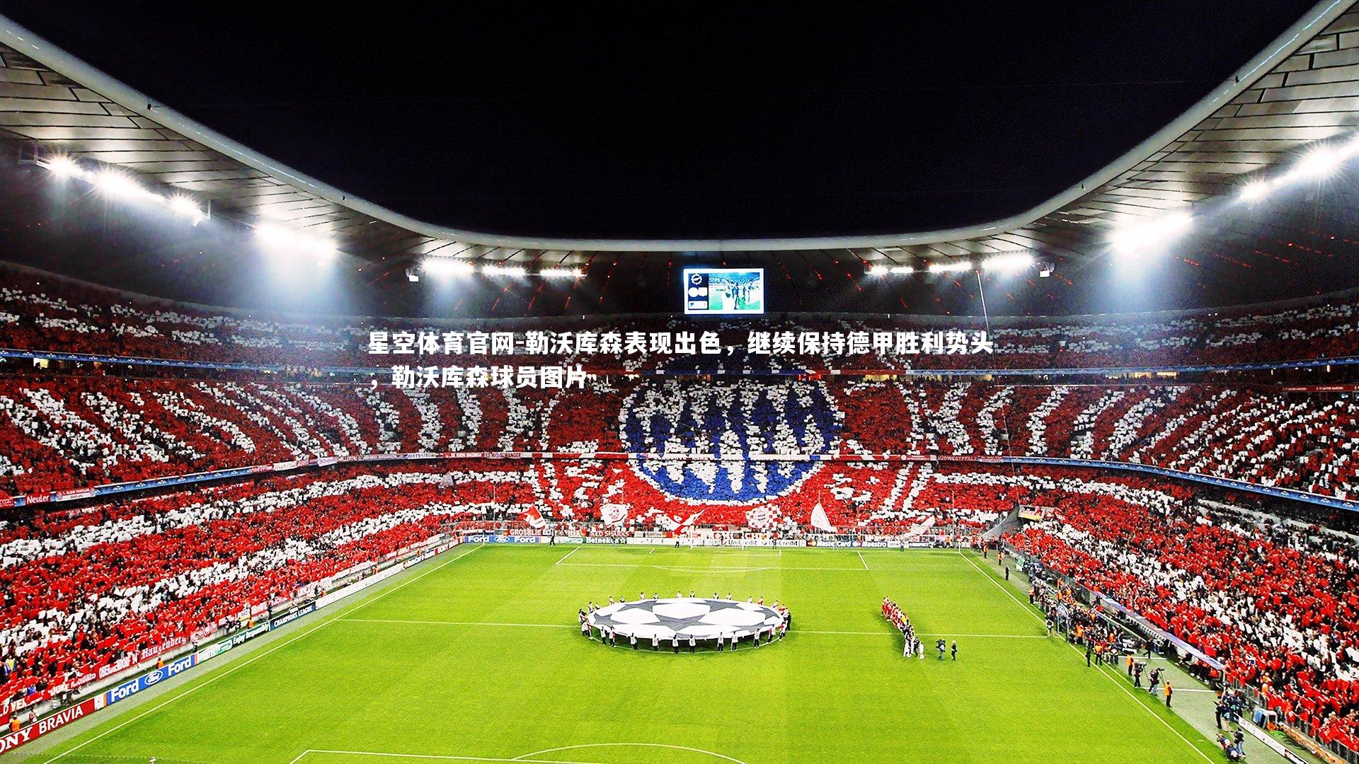 勒沃库森表现出色，继续保持德甲胜利势头，勒沃库森球员图片