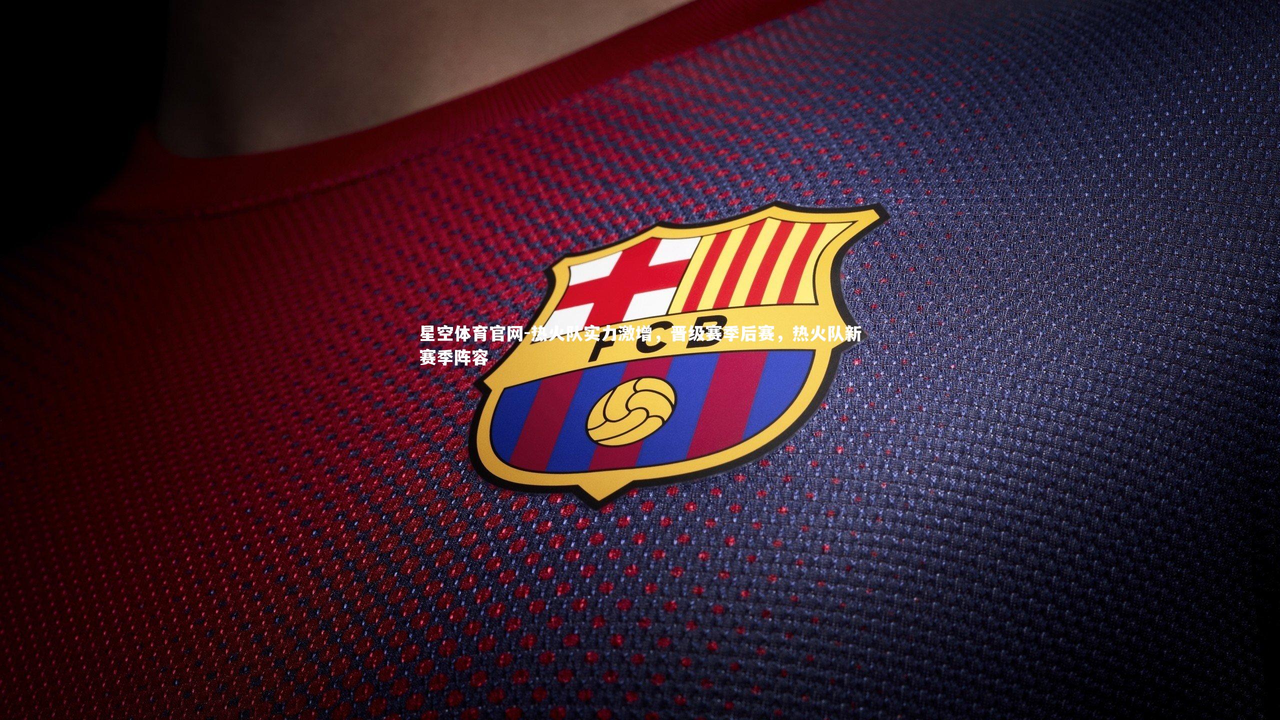 热火队实力激增，晋级赛季后赛，热火队新赛季阵容