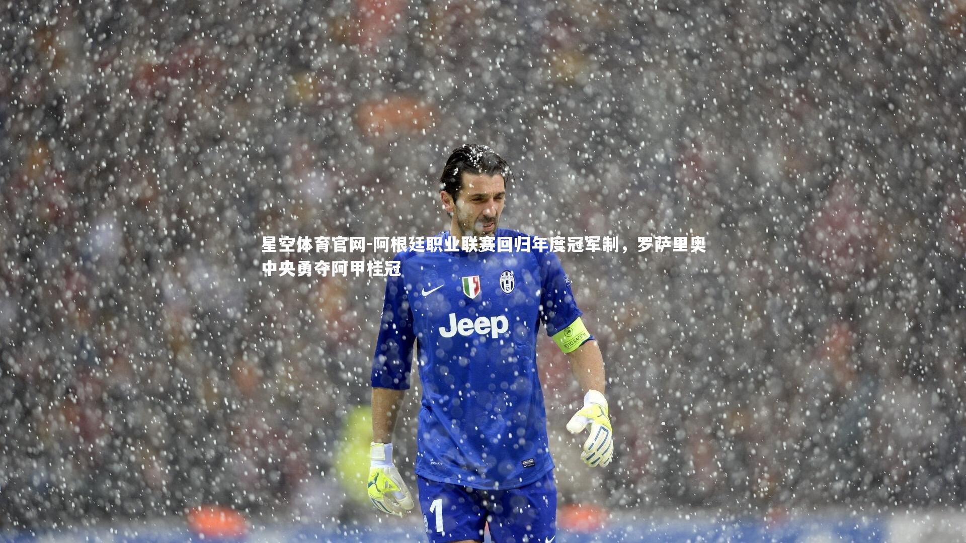 阿根廷职业联赛回归年度冠军制，罗萨里奥中央勇夺阿甲桂冠